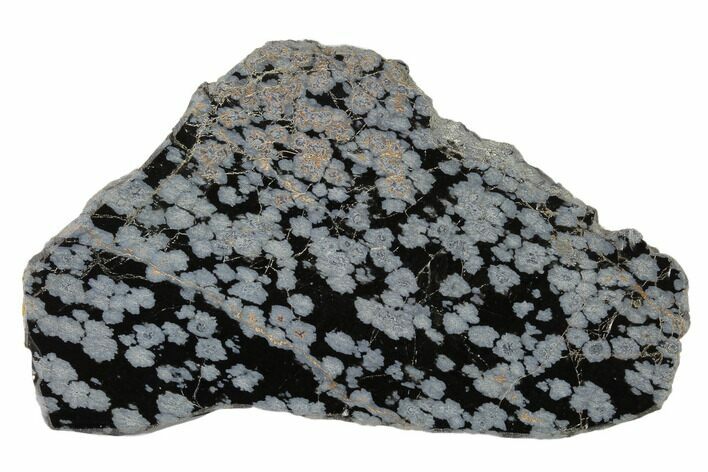 Polished Snowflake Obsidian Section - Utah #117772